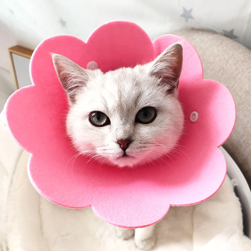 

2020 Cute Pet Protective Collars For Dogs Cats Wound Healing Protection Dog Cat Collars Anti-Bite Neck Cone Recovery Circle