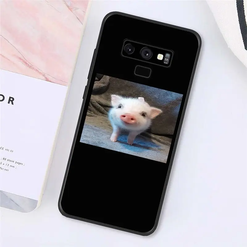Cute Little Pink Pet Pig