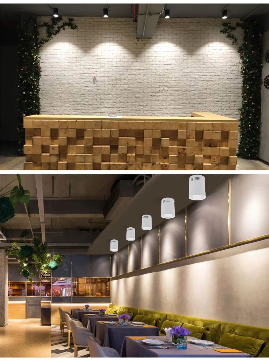 Led Downlight Led Surface Mounted Spot Light COB Chip Dimmable 3W 5W 7W 10W Ceiling Lamp For Living Room Bedroom Store Lighting