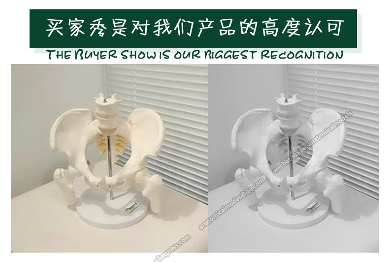 12338 买