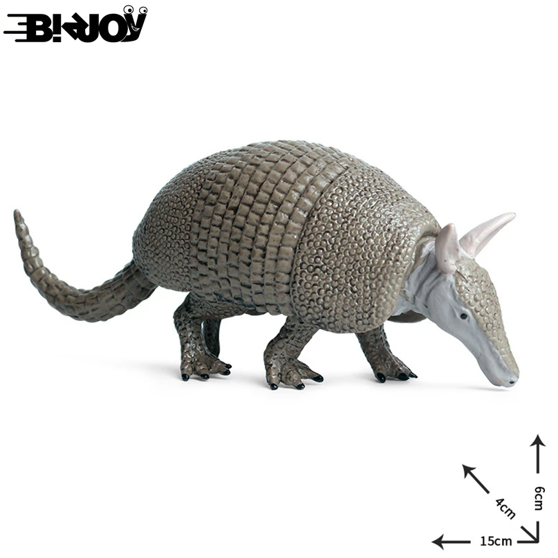 armadillo toy