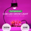 Full Spectrum COB Grow Light 300W High Luminous Efficiency Growing Lamp for Plants COB Phytolamp for Indoor Grow Box Greenhouses ► Photo 2/6