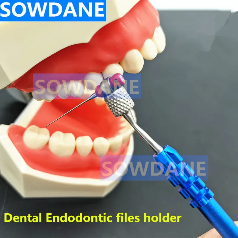 Dental Endodontic File Files Holder Handuse Files Gripper Root Canal K R H C Files Machine Rotary Fi