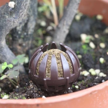 

Fertilizer Covered Plastic Bonsai Tool Jade Fat Box Claw Box Slow Release Fertilizer Container