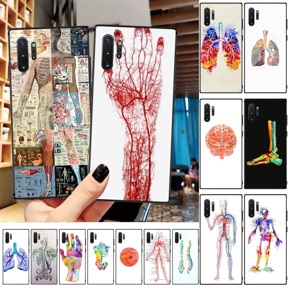 

Viviana Medical Organs Brain Kidney Art Fashion Phone Case For Samsung A50 S10 Plus S10E Note9 Note8 7 10 Pro