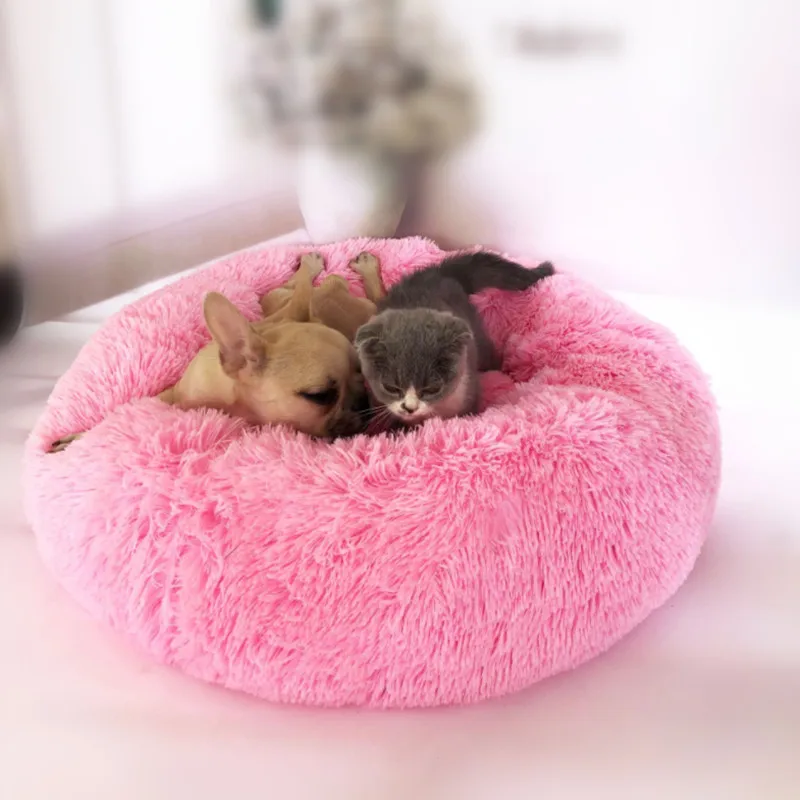 QQ图片20190806110803_副本