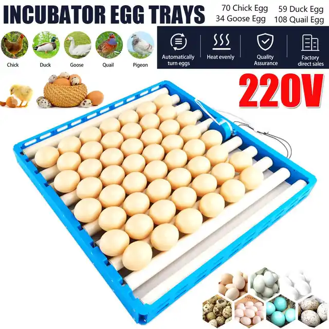 Bandeja giratória automática do turner do ovo 42 ovos 360 v 110v jogo do  teste padrão do rolo dos acessórios da incubadora dos ovos da bandeja do  rolo do ovo de 220 ° - AliExpress