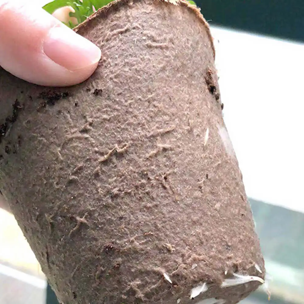 50 шт. Seeding Growing Pots семена растений детские чашки биоразлагаемые цветочные горшки бумажный стаканчик целлюлозы домашний садовый инструмент
