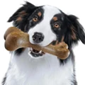 GOOD Pets Products Store
