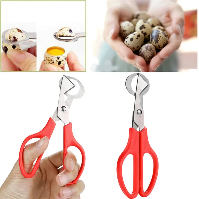 

Quail Egg Scissors Cracker Opener Cigar Cutter Stainless Steel Tool Egg Topper Knocker Raw Separator Egg Opener Kitchen Gadgets