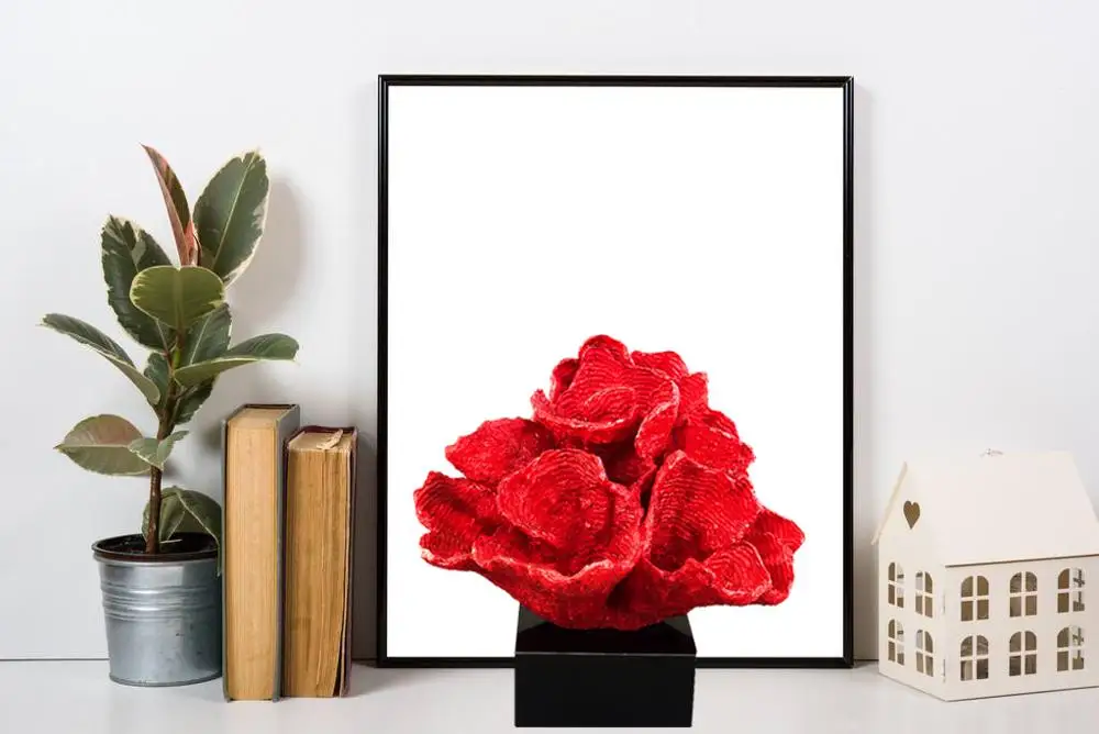 Decorative Cauliflower Coral Statue Accent, 9 inch by 9.84 inch,Resin Sculpture Display for Home Decor or Aquarium Red Decorative Cauliflower Coral Statue Accent, 9 inch by 9.84 inch,Resin Sculpture Display for Home Decor or Aquarium Red