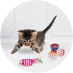 Kitten Toys Variety Pack-Pet Cat Toy Combination Set Cat Toy Funny Cat Stick Sisal Mouse Bell Ball Cat Supplies 20/21 Piece Set