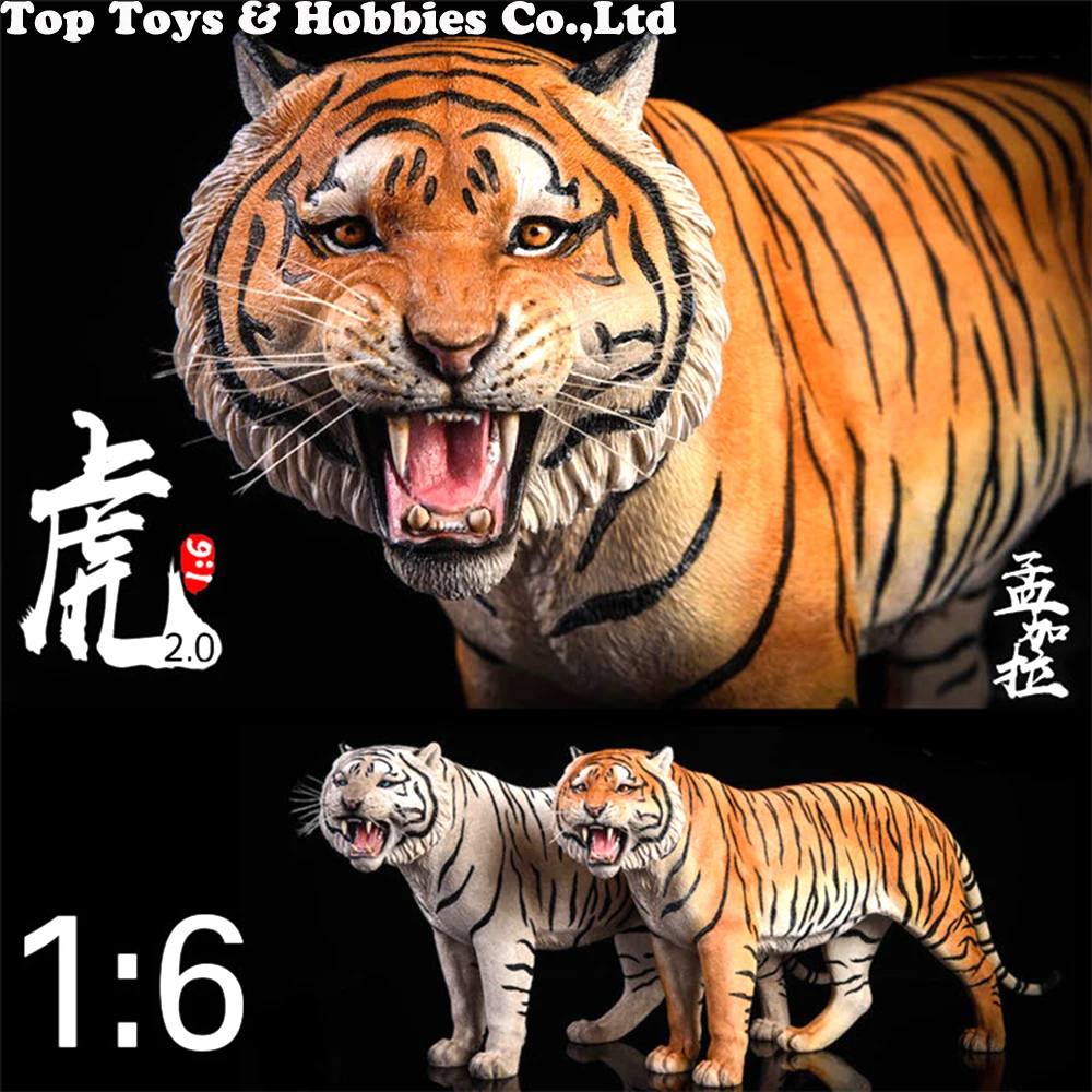 

41cm 1/6 Panthera Tigris Bengal Tiger JXK020 Roaring Tiger Animal Statue Model Toy Gift Model Collection Resin for Fans Gift