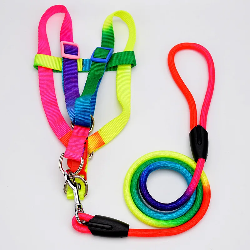 Rainbow Dog Harness Leash Set Product Accessories Harness Small Dog