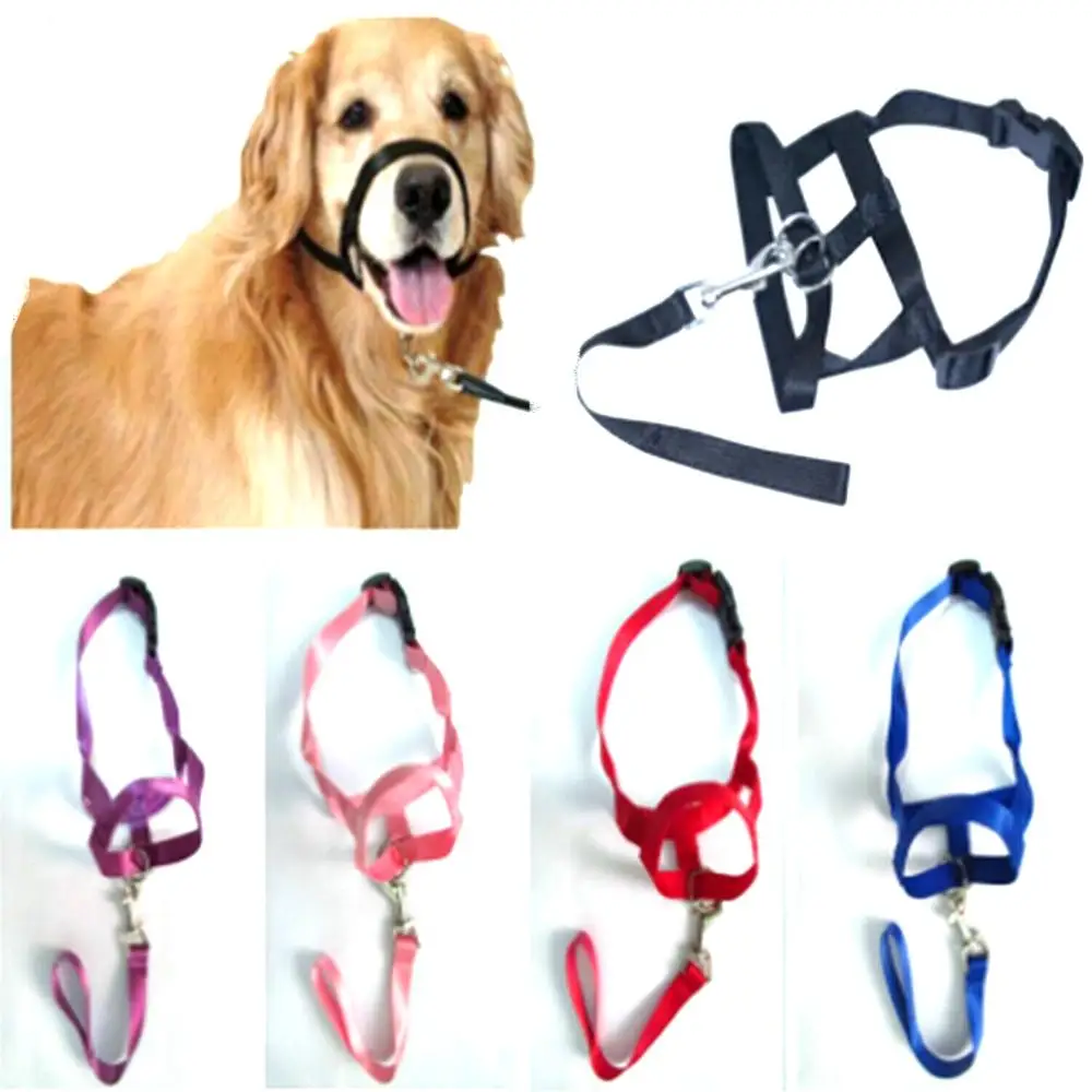 Gentle Leader Dog Harness Pet Training Dog Collar Training Harness Dogs Dog Aliexpress atelier