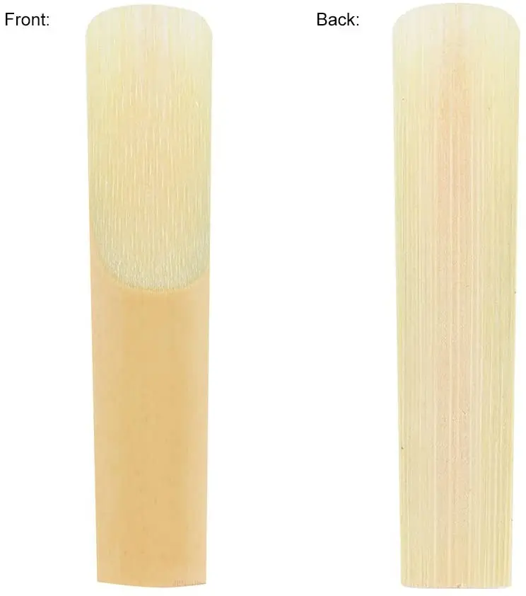 51wr3L1egtL._AC_SL1000_