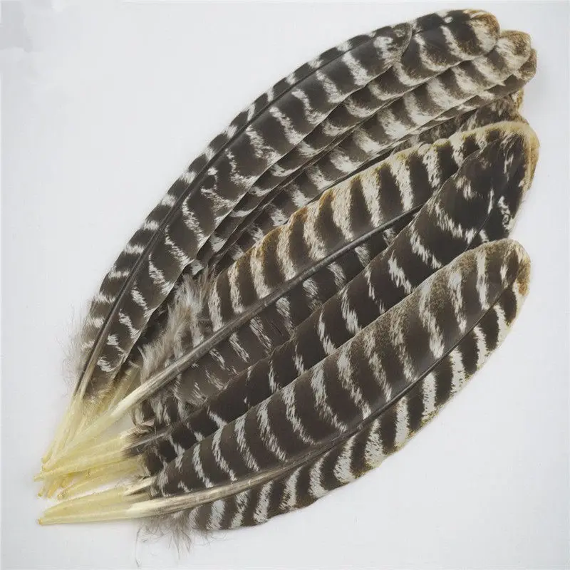 Real Natural Eagle Feathers 8-16