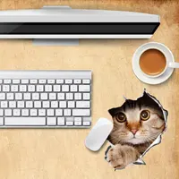 Computer Peripherals