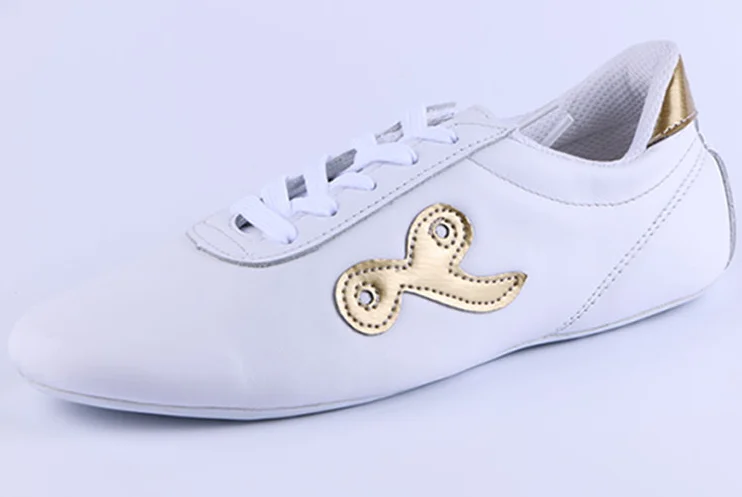 Men Women Sport Chinese Kung Fu Shoes Lightweight Man Sport Traditional Tai Chi Shoes Black Women Match Martial Arts Shoes