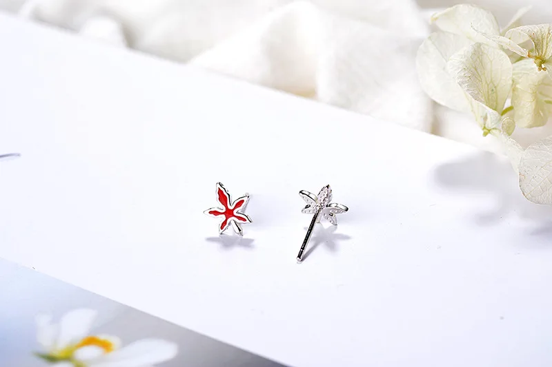 9196443202_1646359543