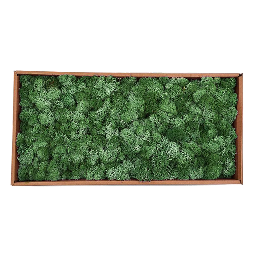Natural Norwegian Reindeer Moss Preserved Dried Crafts Flower for Flowers Grass Plants Home Garden Garland Wedding Party