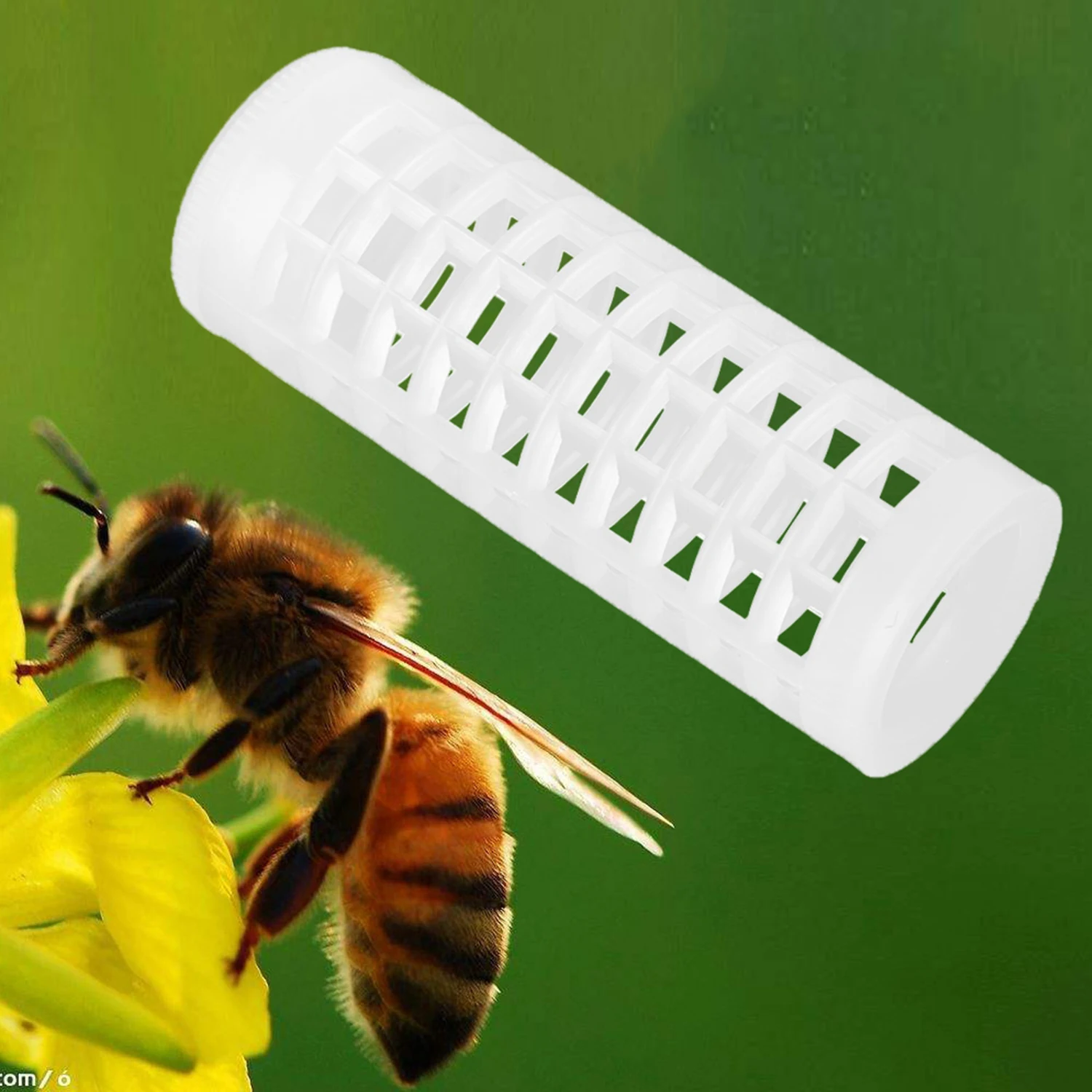 

Hot New Beekeeping Equipment Queen Rearing Box Queen Rearing System Beekeeper Supplies Hive Tool Set
