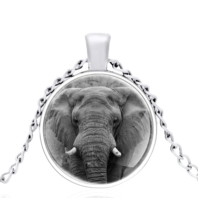 Strong Elephant Design Glass Dome 