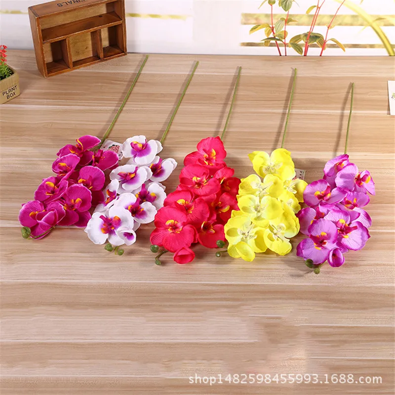 3961227582_1934473274