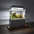 Mini Betta Fish Tank Desktop Marine Aquaponic Аквариумные Рыбы Чаша С Водой Fliter LED Light USB Воздушный Насос Портативные Украшения