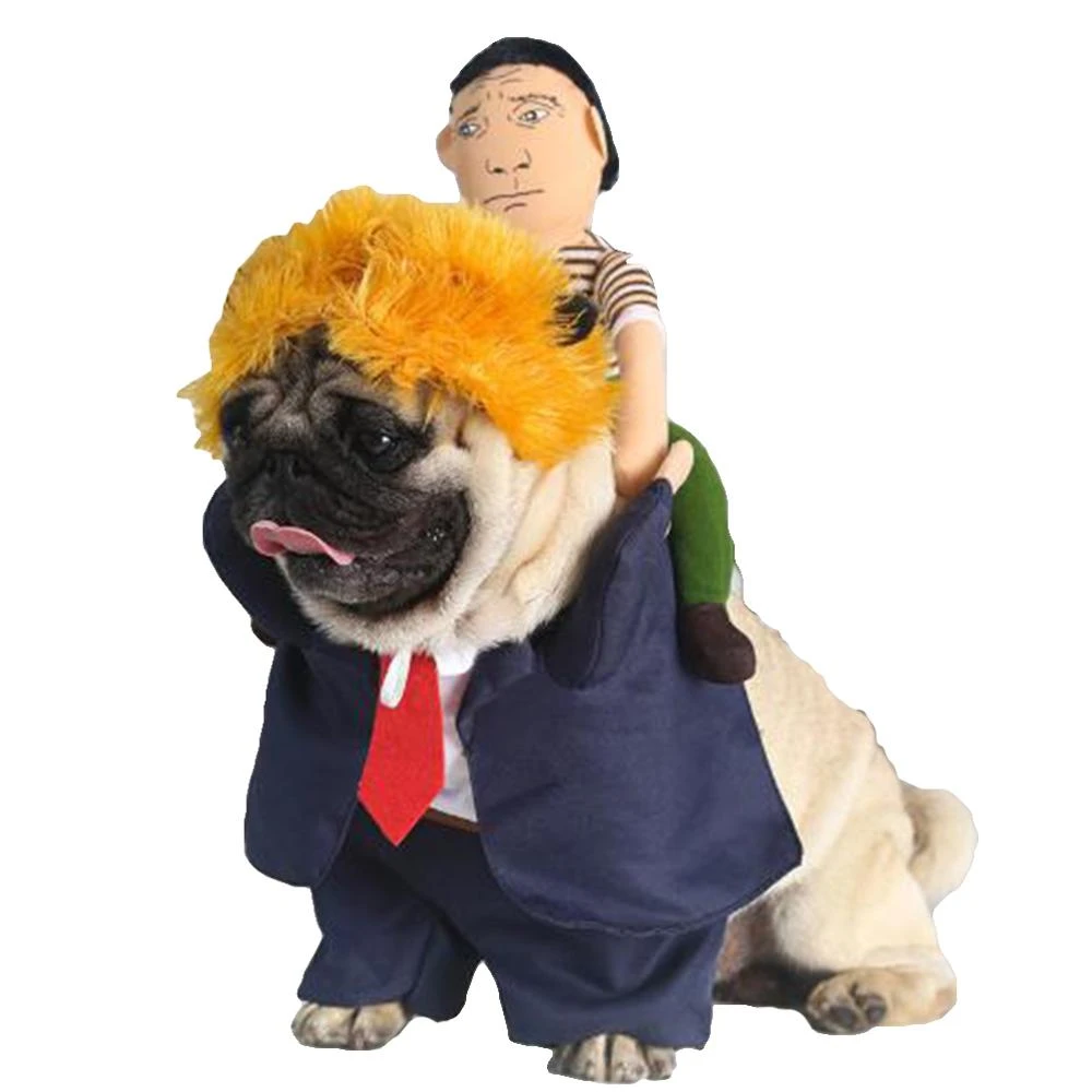 Dog president costume Clearance
