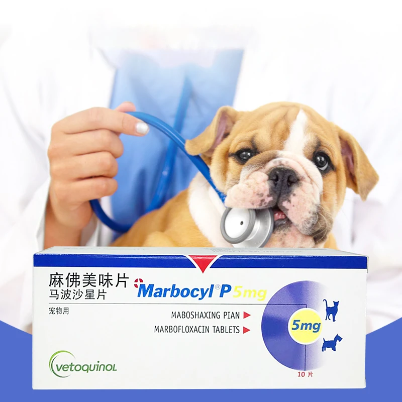 MARBOCYL P 5 мг (marbofloxacin) для собак и кошек|Аксессуары собак| |