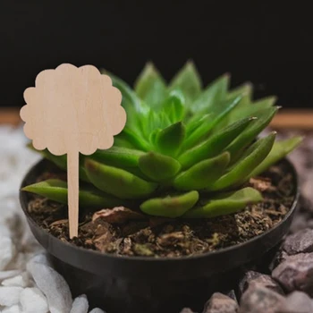

50pcs Bonsai Handwritten Ornaments Garden Markers Classification Tool Reusable Succulent Wood Plant Labels Flowers Seedling Tags