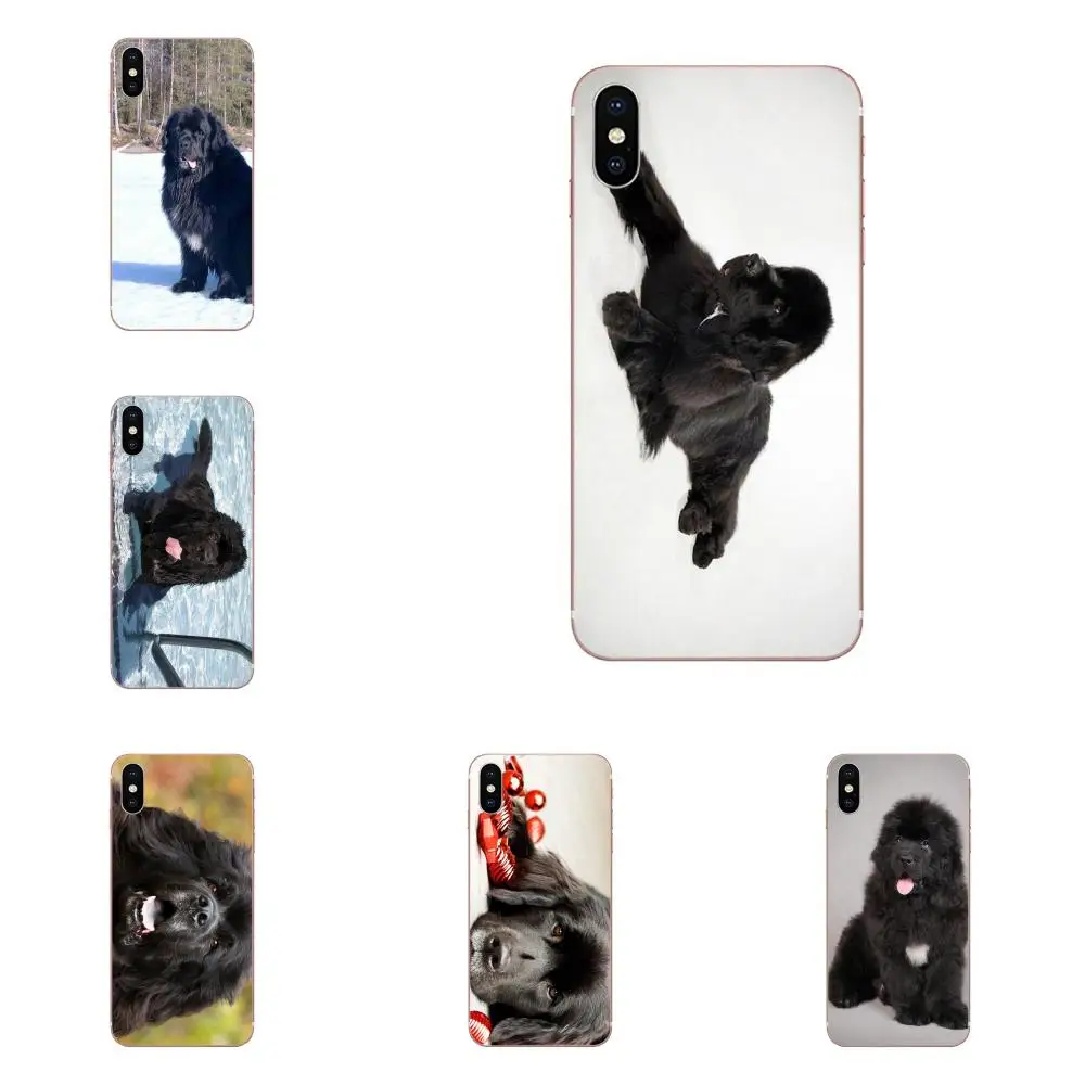 

Newfoundland Dog Puppy TPU Cover Cell Phone Cases For Apple iPhone X XS Max XR 4 4S 5 5C 5S SE 6 6S 7 8 Plus