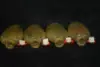 4pc Chinese folk Inside painting Guangxu Male farming glass snuff bottle 3