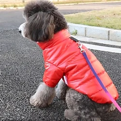 Easy Cleaning Winter Warm Pet Dog Clothes Fashion Windproof Pet Dog Jacket Coat Waterproof Small Dogs Vest Chihuahua Clothing