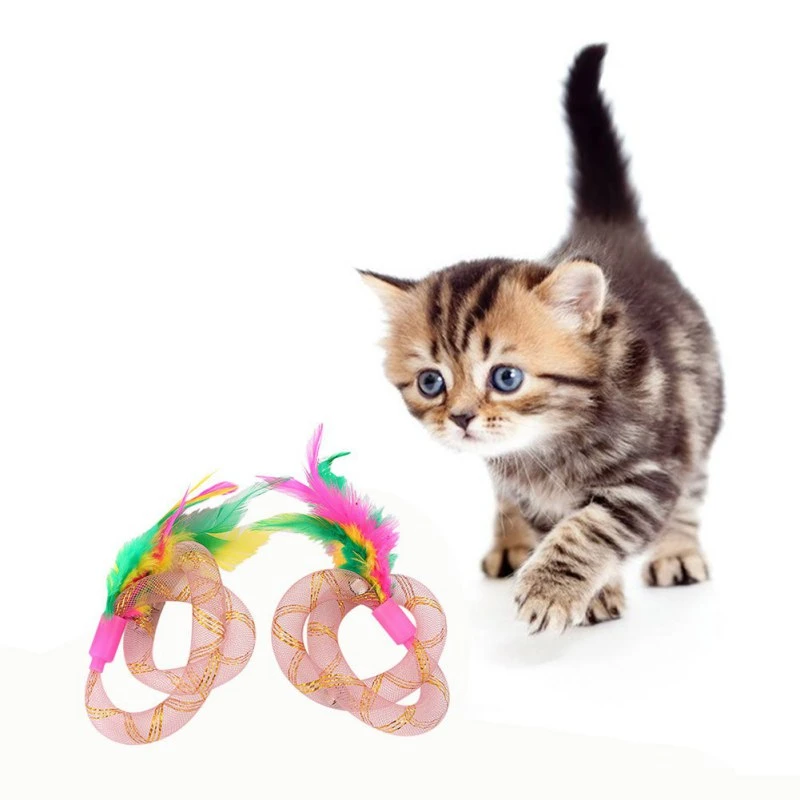 spiral cat toy