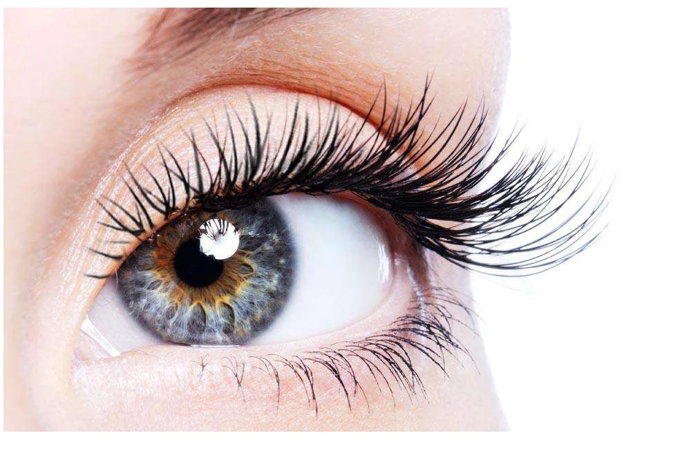 微信图片_20191206211758