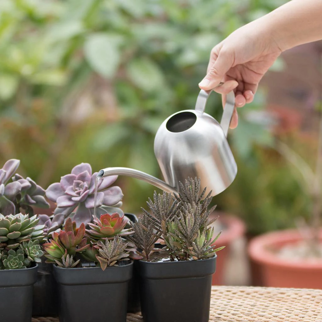 Long Mouth Stainless Steel Watering Can Great For Watering Home Balcony, Office, Hotel Garden Plants