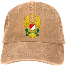 Мужская и женская индонезийская армейская бейсболка, джинсовая кепка для папы, Кепка для водителя грузовика