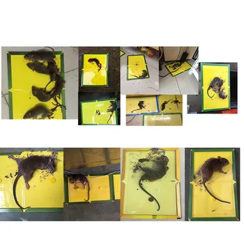 

Mouse Rat Mice Sticky Traps Board Trapper Glue Catcher Non-toxic For Kitchen Home DEC889