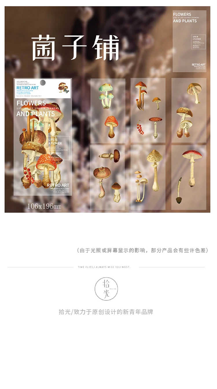 详情切片_17