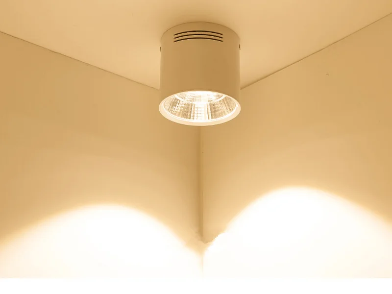 Surface LED Downlight B