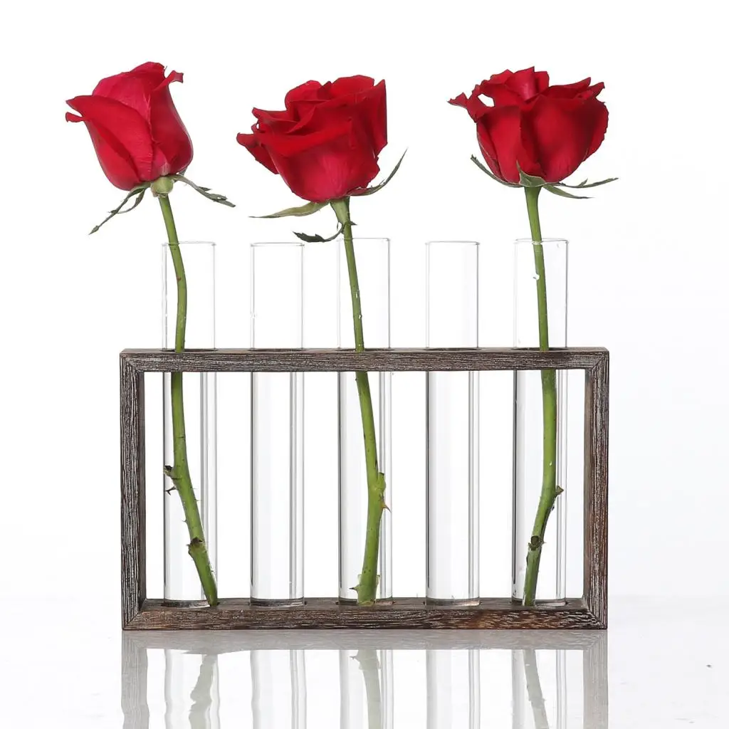 Water Planting Glass Vase, Test Tube Planter Modern Flower with Retro Solid Wooden Stand Tabletop