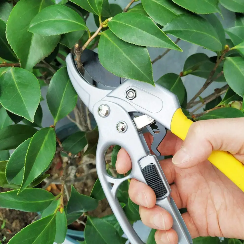 Labor saving Flower Trimming Shears 3Colors Garden Clipper Anti rust for Landscaping Pruning Shears Fruit Tree Garden Scissors