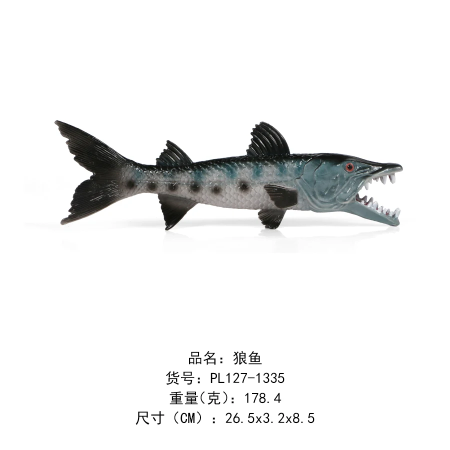 狼鱼-1335