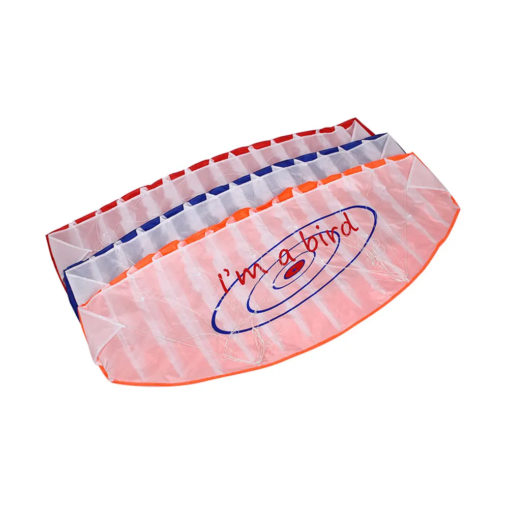 Outdoor Sports Dual Stunt Parafoil Kite Power with Handle 30m Line Beginner