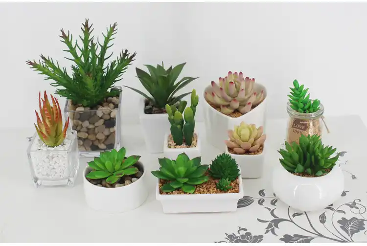 find software for your school