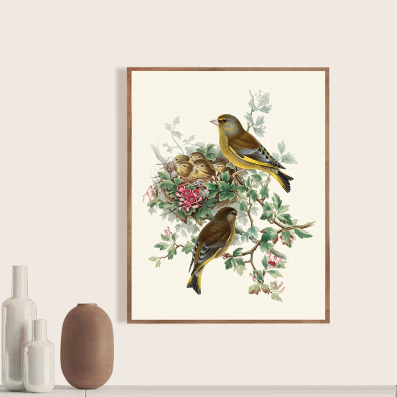 Bird-Botanical-Poster-Greenfinch-Bird-Antique-Illustration-Print-Nest-Natural-History-Wall-Art-Canvas-Painting-Living