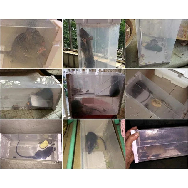 Egér Egerek Elkapó Csapdája Professzionális Patkány Rágcsáló Csapda Doboz - No Poison Bait Inc. - Image 4