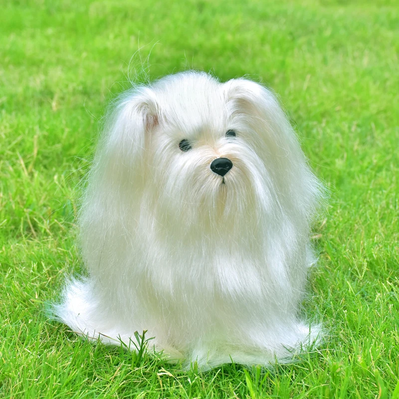 white dog dye